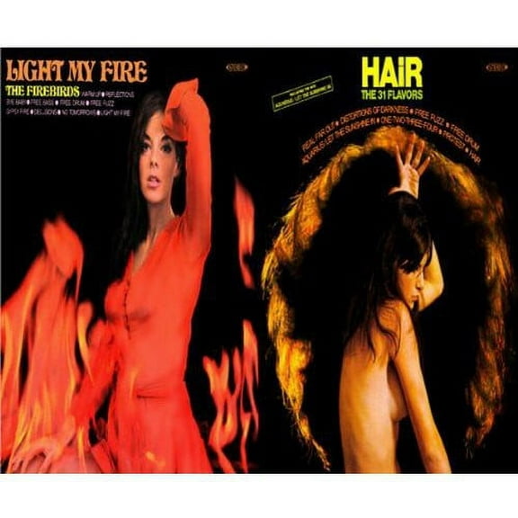 The Firebirds - Light My Fire / Hair - Music & Performance - CD