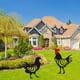 thumbnail image 4 of Yuarrent Letrero de jardín con forma de animal de gallo: acrílico de amplia aplicación resistente al sol y al agua, antioxidante Jardín y Patio A, 4 of 6
