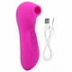 thumbnail image 1 of Masajeador vibratorio de vagina para mujer, estimulador USB de 10 engranajes, masajeador de parte privada, 1 of 8