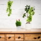thumbnail image 3 of 2 PCS Plantas colgantes de pared artificial Decoración de pared de ratán, 3 of 6