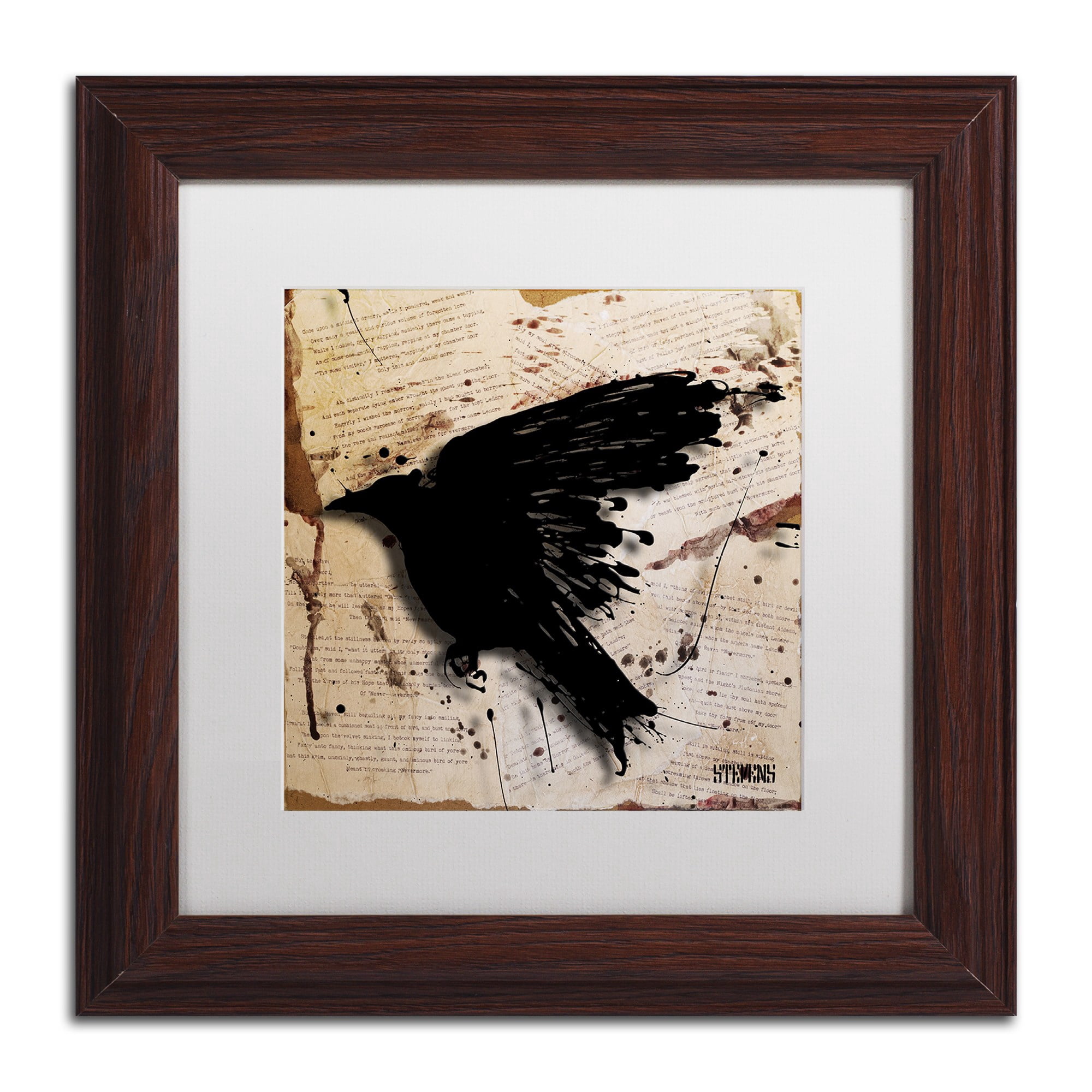 Trademark Fine Art "The Raven 3" Canvas Art by Roderick Stevens, White Matte, Wood Frame