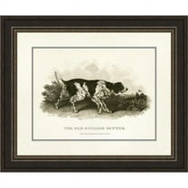 Somerset House Publishing 5124 Antique English Setter, Framed Fine Art Print with Glass