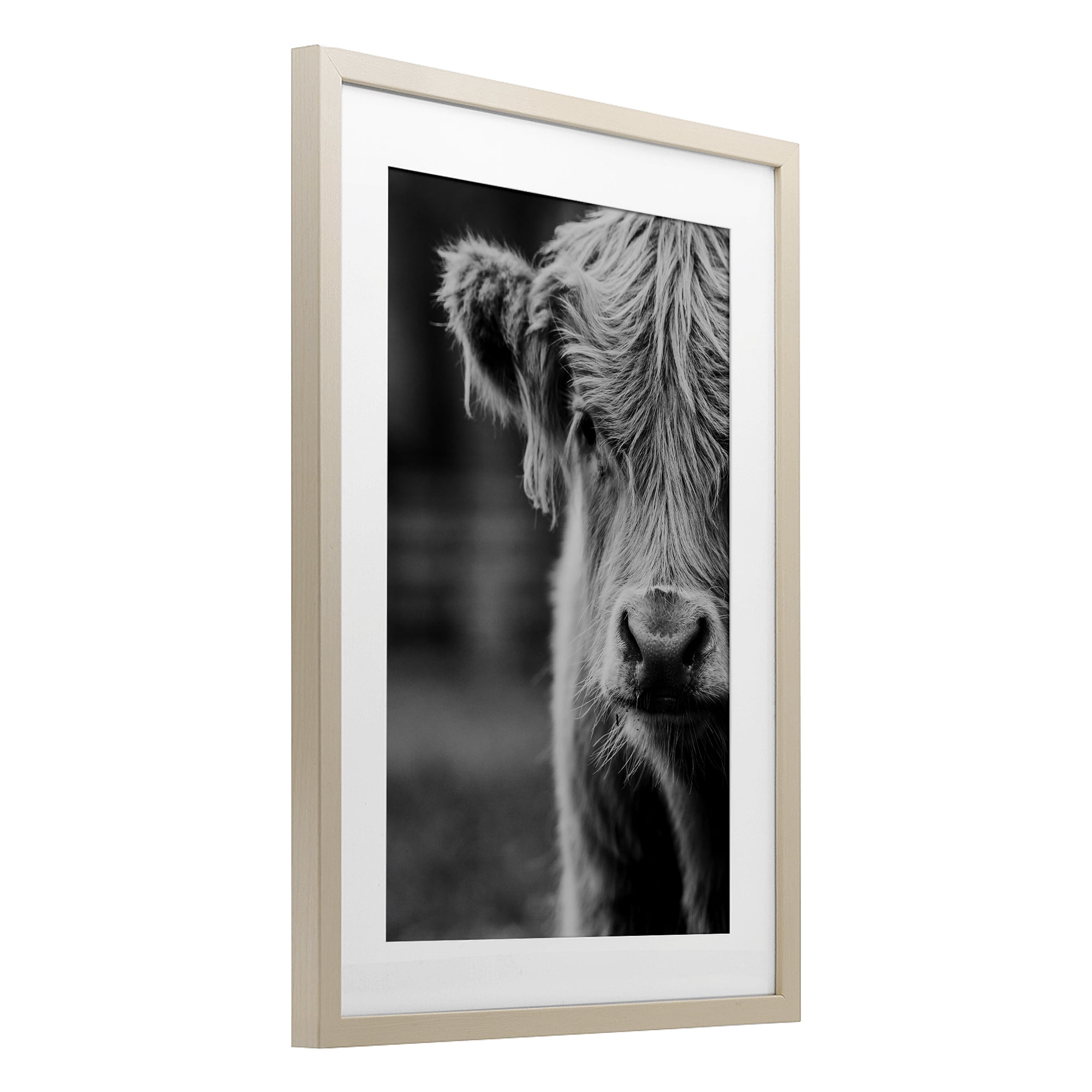 Baby Cow Face Birch Framed Print Under Glass, design by Amy Carroll