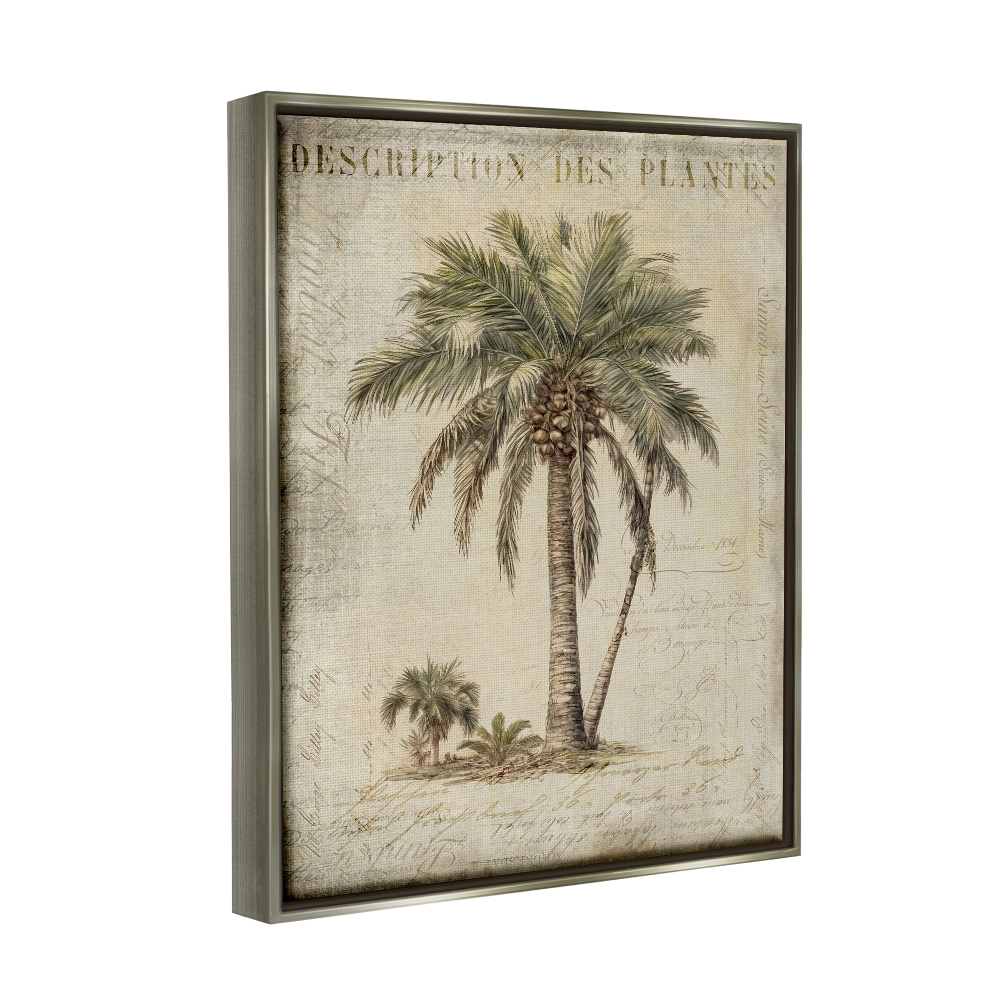 Stupell Industries Vintage Palm Tree Study Botanical & Floral Painting Gray Floater Framed Canvas Art Print Wall Art, 25 x 31