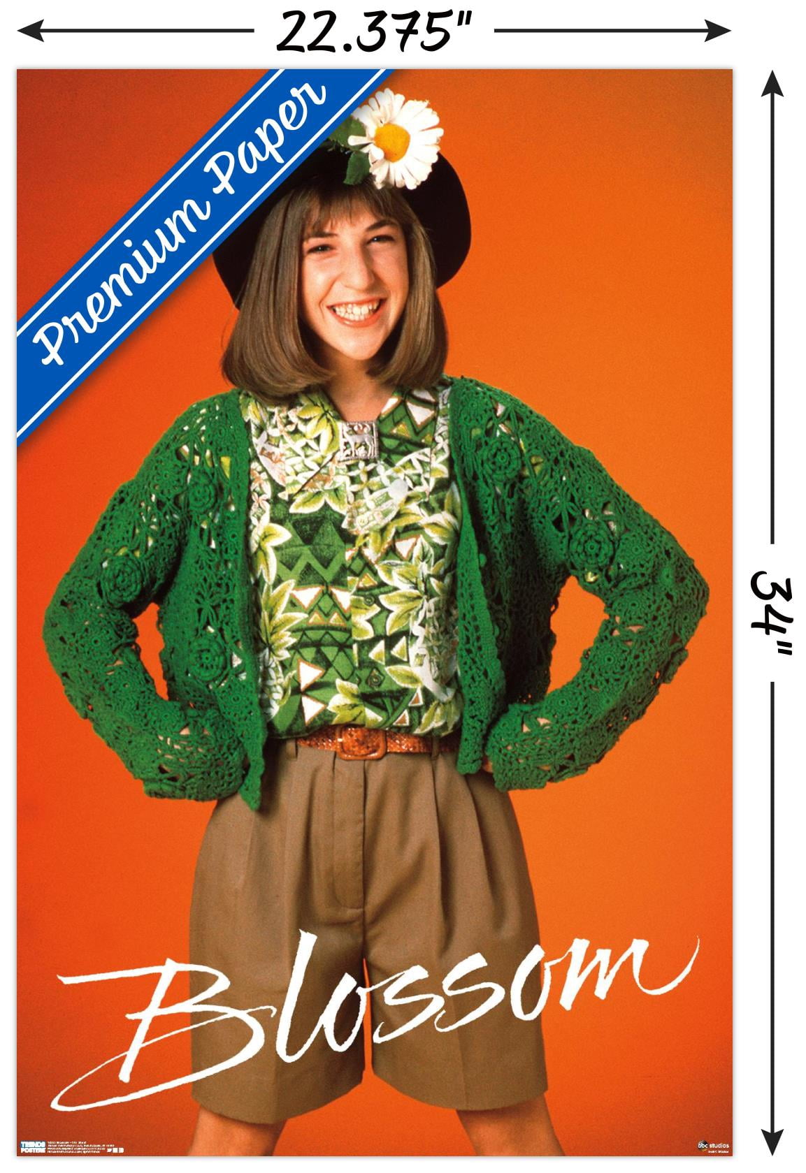Blossom - One Sheet Wall Poster, 22.375" x 34"