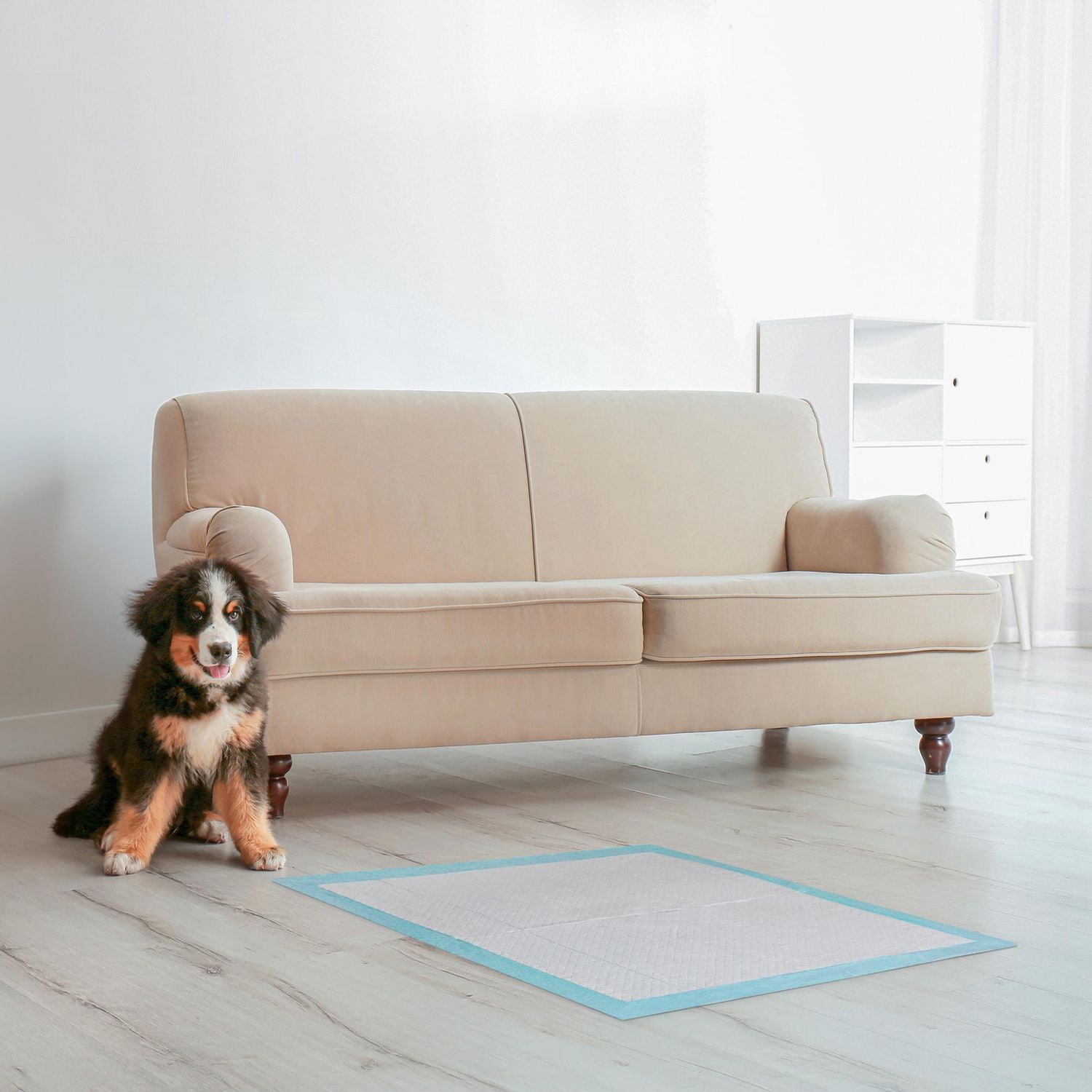 Tapis d’entraînement très  Vibrant Lif– 'L (56*56cm)' Plusieurs tailles d'emballage disponibles