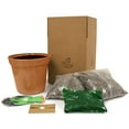 thumbnail image 6 of Van Zyverden Patio Gardening Kit Strawberry Quinault with Decorative Metal Planter 10 Plant Roots White Full Sun, 6 of 9