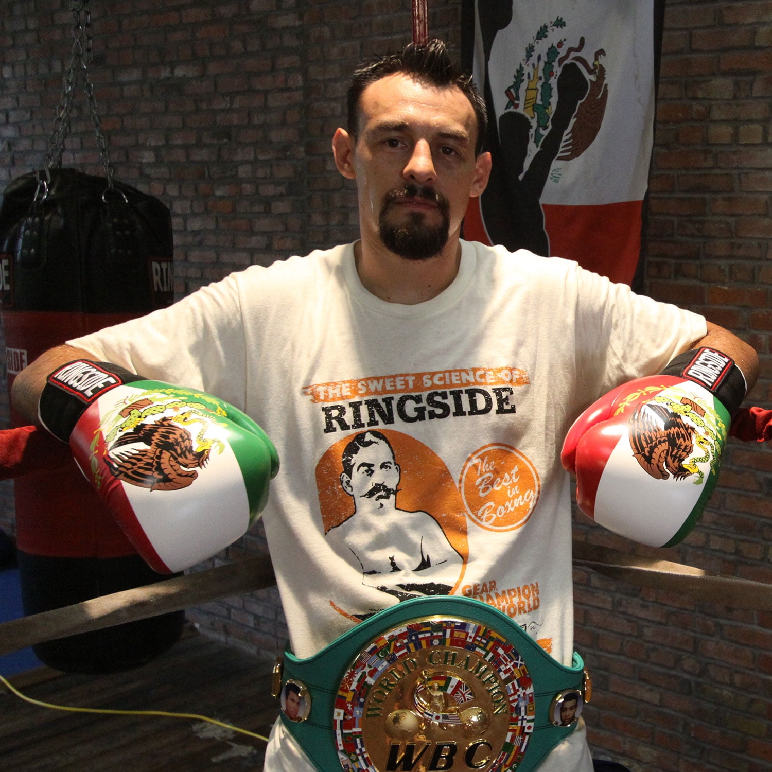 Ringside Limited Edition Mexico IMF Tech Boxing Gloves for Sparring, Multicolor, 16 oz