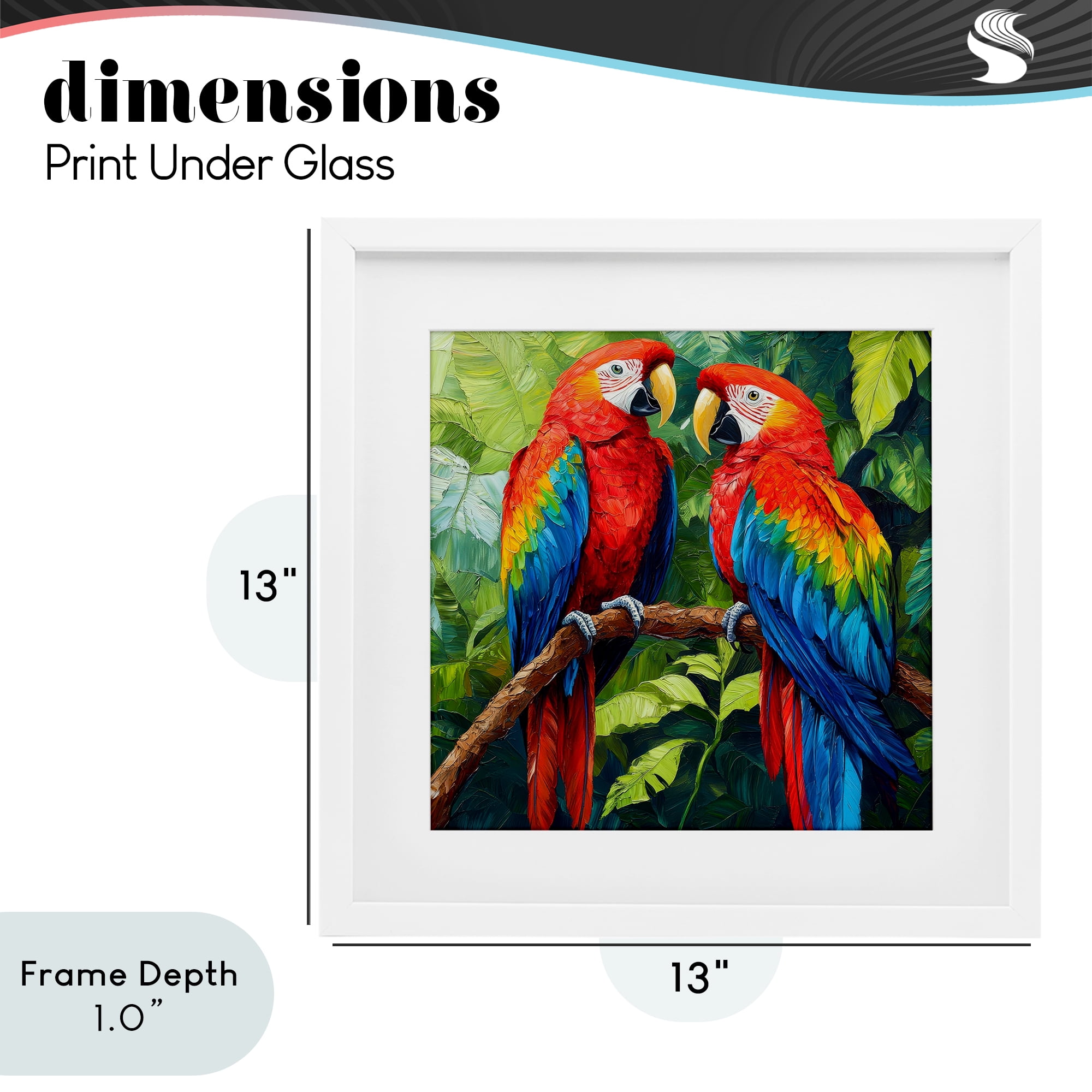 Stupell Industries Tropical Parrot Pair White Framed Print Under Glass, design by Petal Prints Design