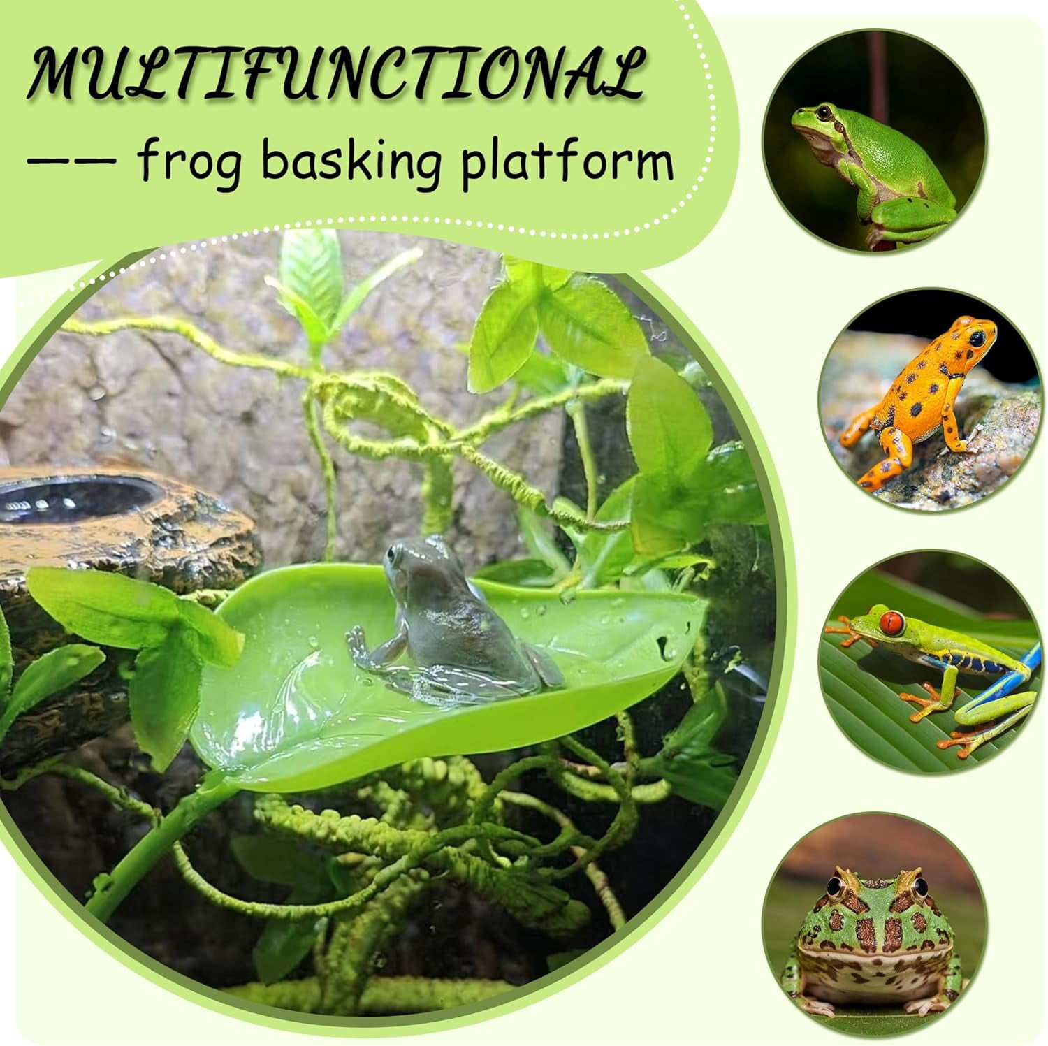 Turtle Basking Platform, Tree Frog Tank Accessories, Leaf Shape Bearded Dragon Basking Platform with Suction Cups, Leopard Gecko Tank Accessories, Turtle Tank Decor (Green)