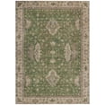 thumbnail image 2 of Addison Rugs Chantille Indoor/Outdoor Traditional Border Aloe Machine Washable Rectangle Rug, 10' x 14', 2 of 7