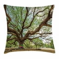 thumbnail image 1 of Nature Throw Pillow Cushion Cover, Magnificent Rain Tree in Thailand with Long Branches Rural Scenery Growth Picture, Decorative Square Accent Pillow Case, 16 X 16 Inches, Brown Green, by Ambesonne, 1 of 2