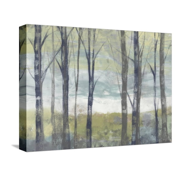 Art.com Pastel Birches II Stretched Canvas Print Wall Art by Jennifer Goldberger, 16" x 12"