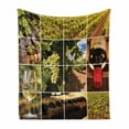 thumbnail image 1 of Vineyard Soft Flannel Fleece Blanket, Vineyard Landscapes Purple Grapes French Bottle Glass Rustic Cellar Couples, Cozy Plush for Indoor and Outdoor Use, 50" x 60", Green Red Brown, by Ambesonne, 1 of 6