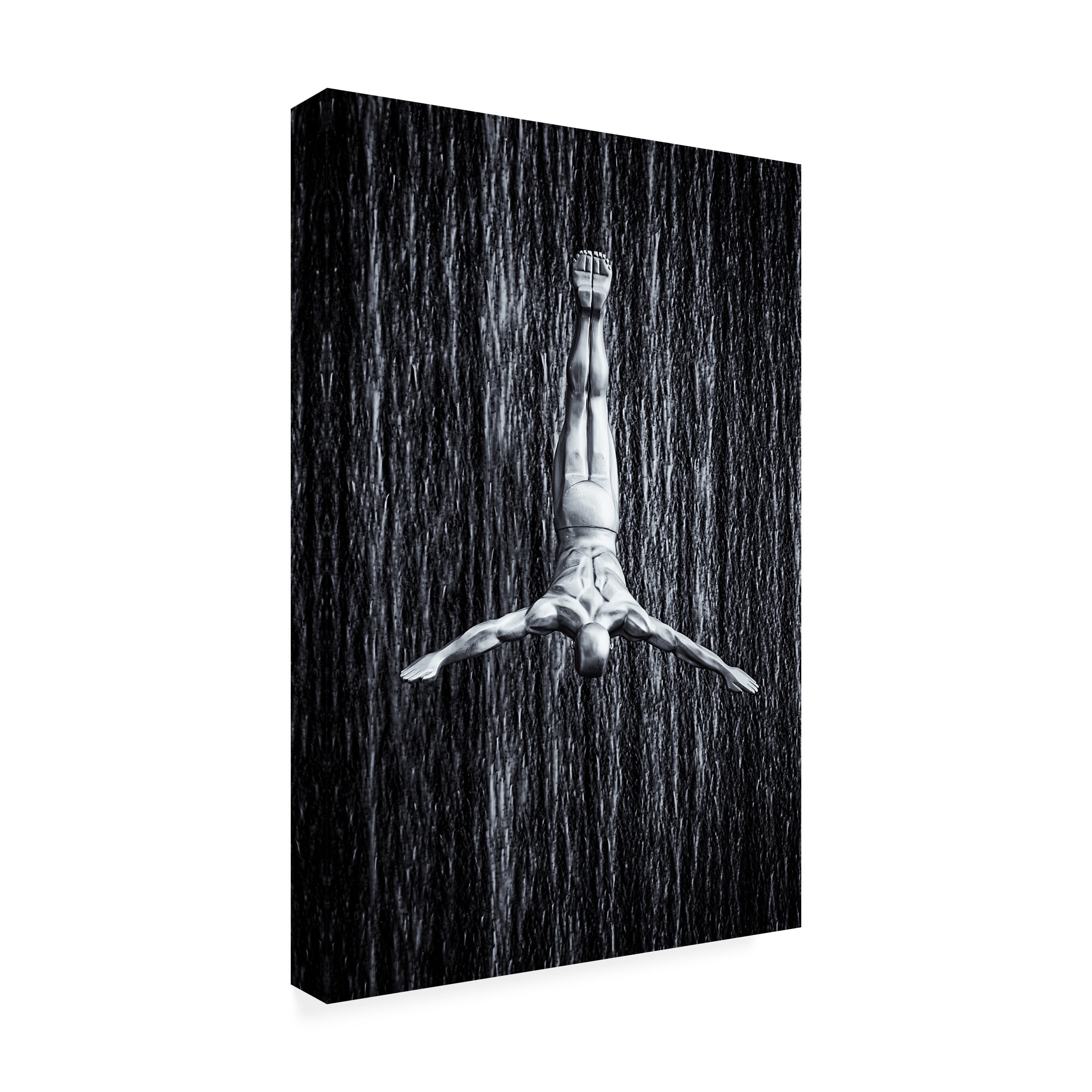 Martin Fleckenstein 'Fine Diving' Canvas Art