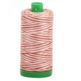 thumbnail image 2 of A1140-4656 Mako Cotton Embroidery Thread 40wt 1094yds Variegated Pink & Red, 2 of 2