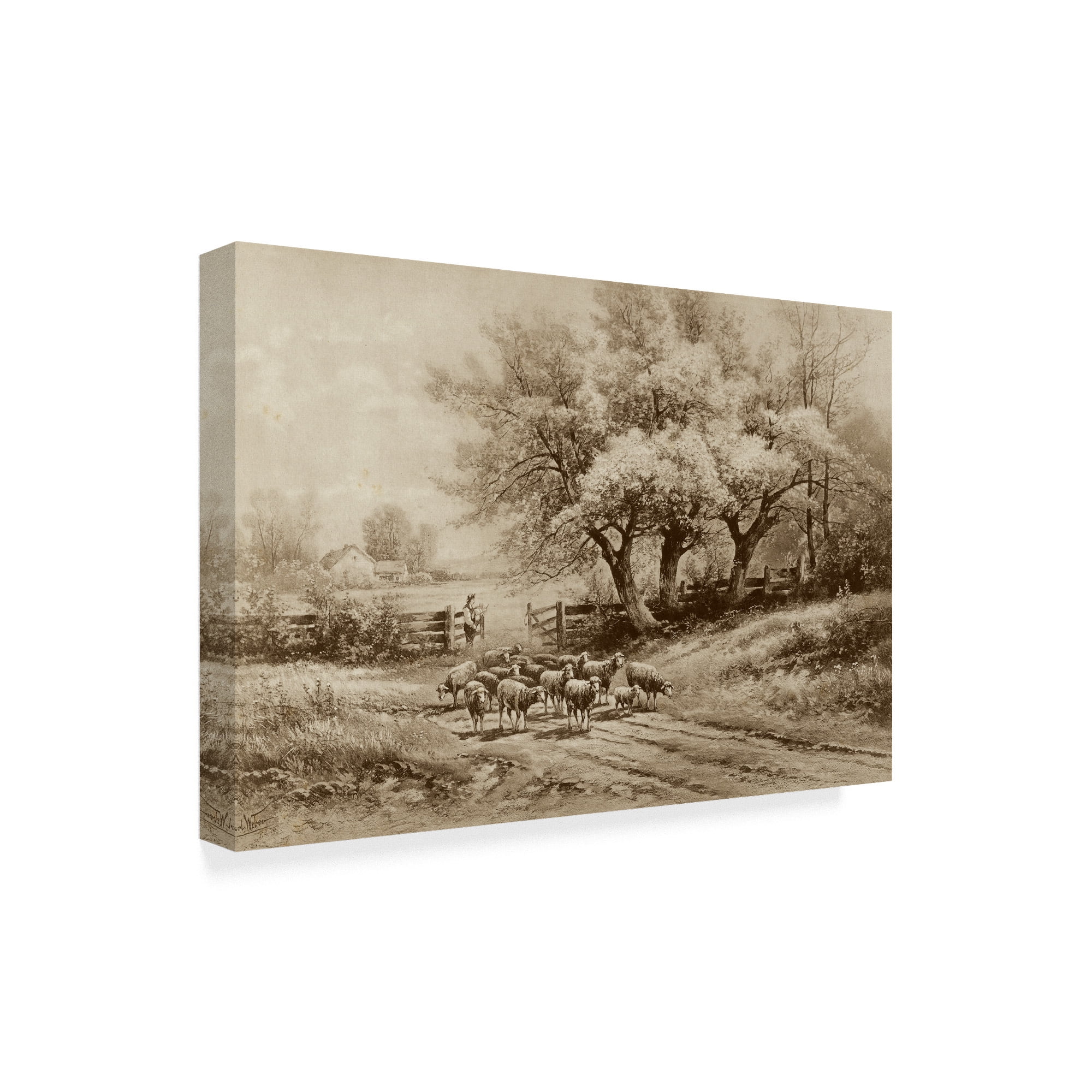 Trademark Fine Art 'Herding Sheep' Canvas Art by Carl Weber