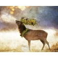 thumbnail image 2 of Bluebird Barn 31x26 Gold Ornate Wood Framed with Double Matting Museum Art Print Titled - Holly and Ivy Stag, 2 of 4