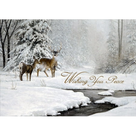 Christmas Greetings For Boyfriend LPG Greetings Dear and Stream in Winter Box of 18 Nature Christmas Cards ()