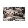 thumbnail image 2 of Mog Floor Mat, Indoor Outdoor Rug With Non-Slip Backing, for Porch Hallway and Pet Feeding Area, Multi-color, 2 of 6