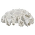 thumbnail image 1 of Bouclair Corail Décoratif Blanc Cassé, 1 of 3