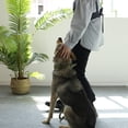 thumbnail image 5 of Small niche minimalist underarm bag, large capacity single shoulder bag, 5 of 5
