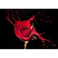 thumbnail image 2 of wall26 - red Rose with red Splashes on Black Background - Removable Wall Mural | Self-Adhesive Large Wallpaper - 100x144 inches, 2 of 5