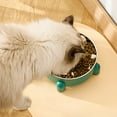 thumbnail image 4 of Btomtd No-Slip Stainless Steel Pet Bowls, Heavy Duty Dog Bowls and Cat Bowls, Weighted Base Cat Food Bowl to Avoid Knockover During Meals, Green, 4 of 6