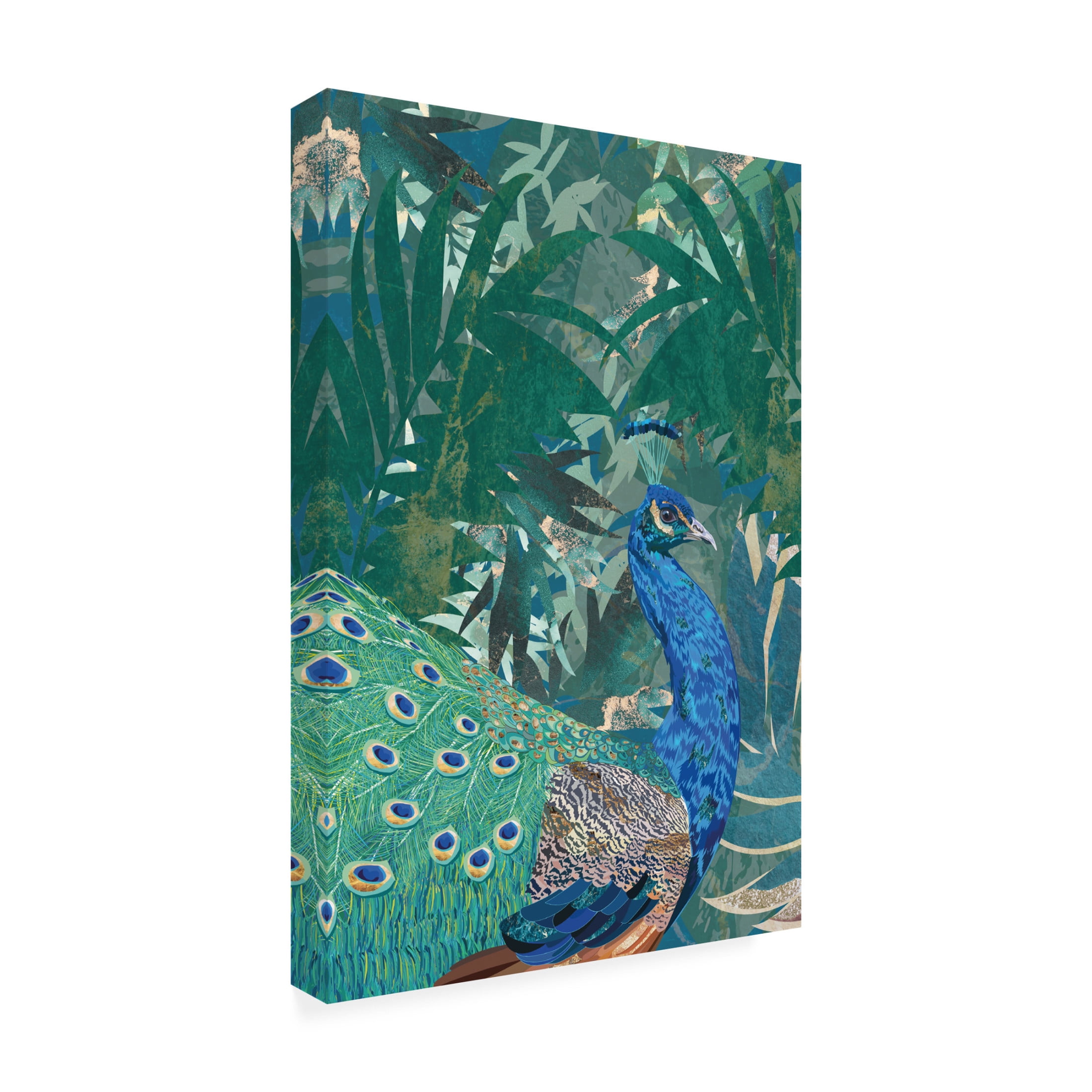 Trademark Fine Art Sarah Manovski  Peacock in the tropical jungle Canvas Wall Art