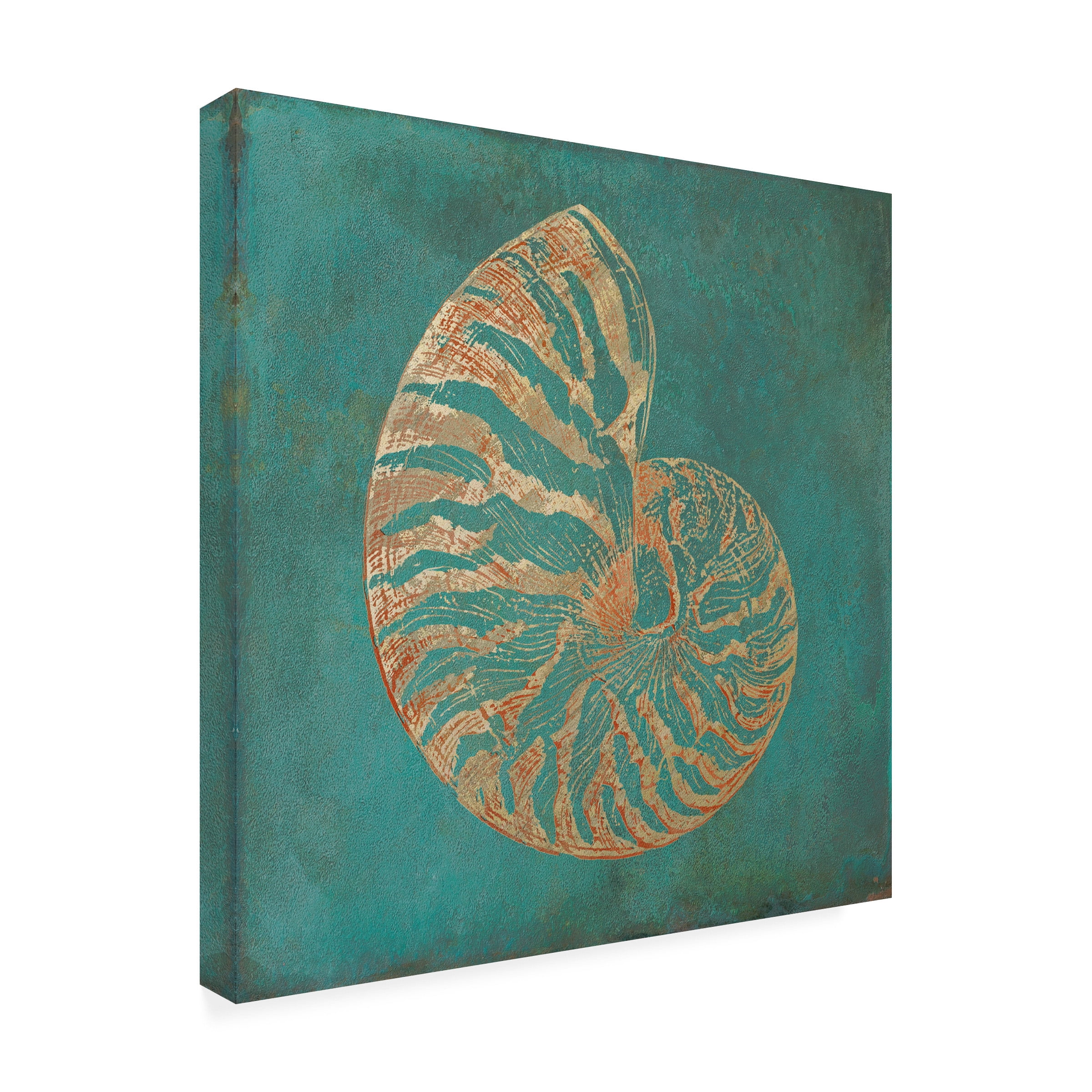 Cora Niele 'Nautilus Shell Gold on Turquois' Canvas Art