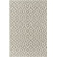 thumbnail image 2 of Jill Zarin Outdoor Collection Area Rug - Costa Rica (4' 1" x 6' 1" Rectangle Light Gray/Ivory), 2 of 9