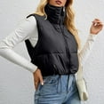 thumbnail image 2 of HAPIMO Womens Puffer Cropped Vest Sleeveless Zip Up Quilted Coat Stand Collar Gilet Jacket with Pockets Black L, 2 of 4