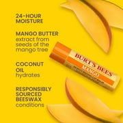 Burts Bees 100% Natural Origin Moisturizing Lip Balm with Beeswax, Superfruit, 4 Tubes