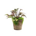 thumbnail image 2 of Mini Artificial Potted Plants Set Realistic Tropical Monstera Ivy UV Resistant Faux Mini Potted Greenery Leaves Plants Indoor for Home Office Desk Shelf Bathroom Jungle Hawaiian Party Décor Gifting, 2 of 8