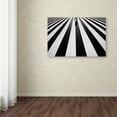 thumbnail image 3 of Trademark Fine Art 'Black And White' Canvas Art by Kouji Tomihisa, 3 of 3