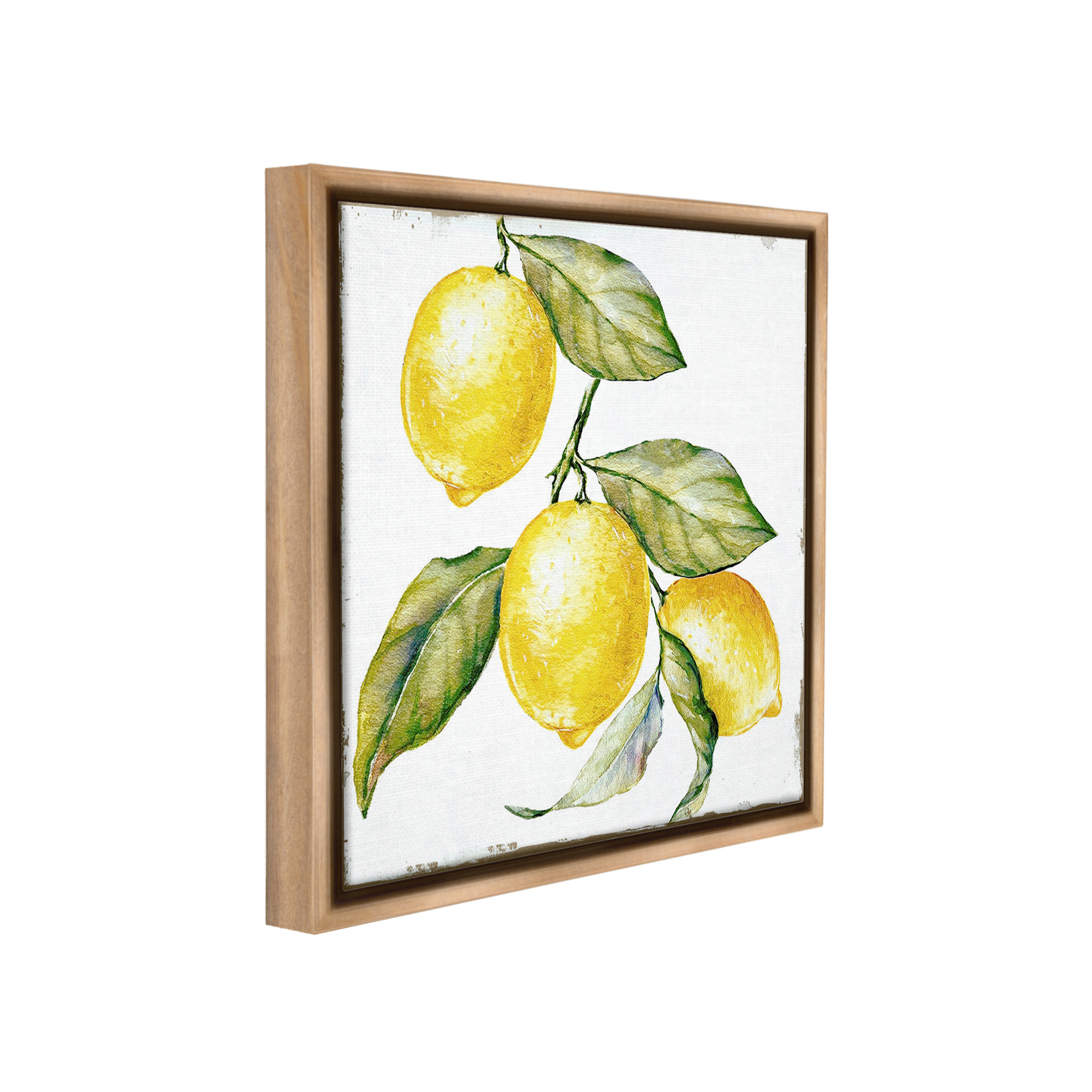 Stupell Industries Rustic Citrus Fruits Food & Beverage Painting Brown Floater Framed Canvas Art Print Wall Art, 25 x 25