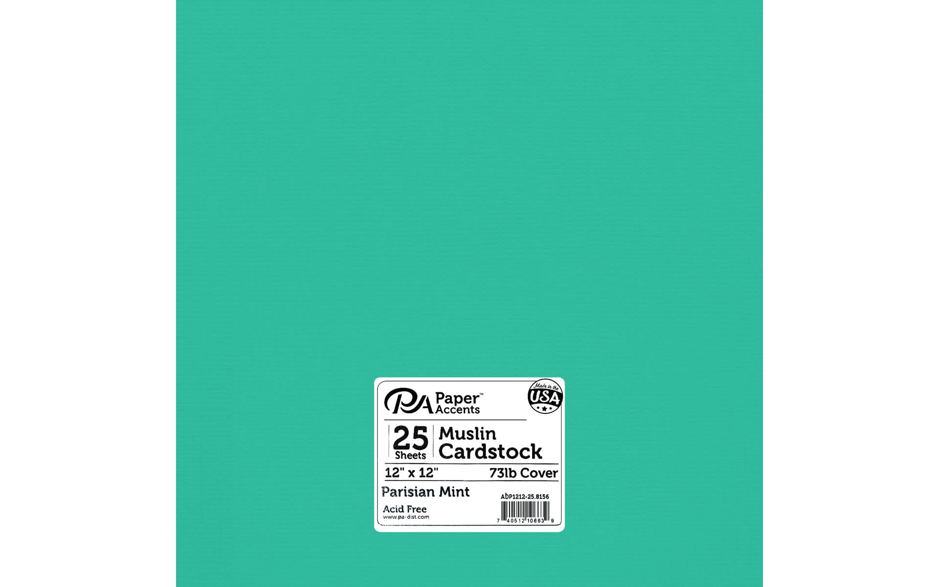 Cdstk Textured 12x12 73lb 25pc Pk Parisian Mint