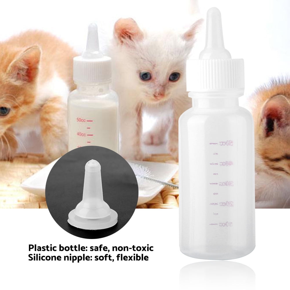 6 Tips for Safely Bottle Feeding Kittens