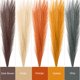 thumbnail image 3 of Uxcell Hierba de Pampa Falsa Decoración Boho para Decoración del Hogar Tallo Artificial Esponjoso Alto (Dorado/Rojo Vino/Marrón Oscuro), 3 of 6
