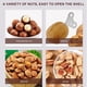 thumbnail image 4 of 20pcs Stainless Steel Nut Opener Tool Hazelnut Peeler with Nonslip Handle Macadamia Cracking Tool Kitchen Gadget, 4 of 4