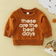 thumbnail image 2 of Durtebeua Long Sleeve Crewneck Sweatshirt Pullover Fall Outfit Baby Clothes For Girls 2-3 Years, 2 of 6