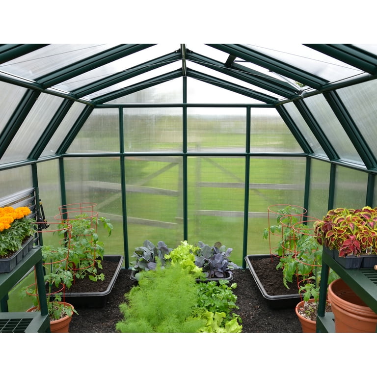 Palram - Canopia Hobby Gardener 8' x 20' Twin-Wall Walk-In Greenhouse -  Green - with 4 Roof Vents - Walmart.com