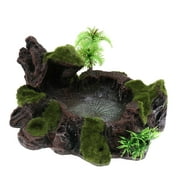 Reptile Plant Decorative Water Dish & Food Bowls for Tortoise