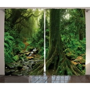 Apartment Decor Curtains 2 Panels Set, Rain Forest Scene with River in North Forest in Early Morning Humid Fog Print, Window Drapes for Living Room Bedroom, 108W X 90L Inches, Green, by Ambesonne