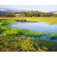 thumbnail image 2 of Talbot Frank, Christopher 31x26 White Modern Wood Framed Museum Art Print Titled - CA, Yosemite The Tuolumne River in the Meadow, 2 of 4