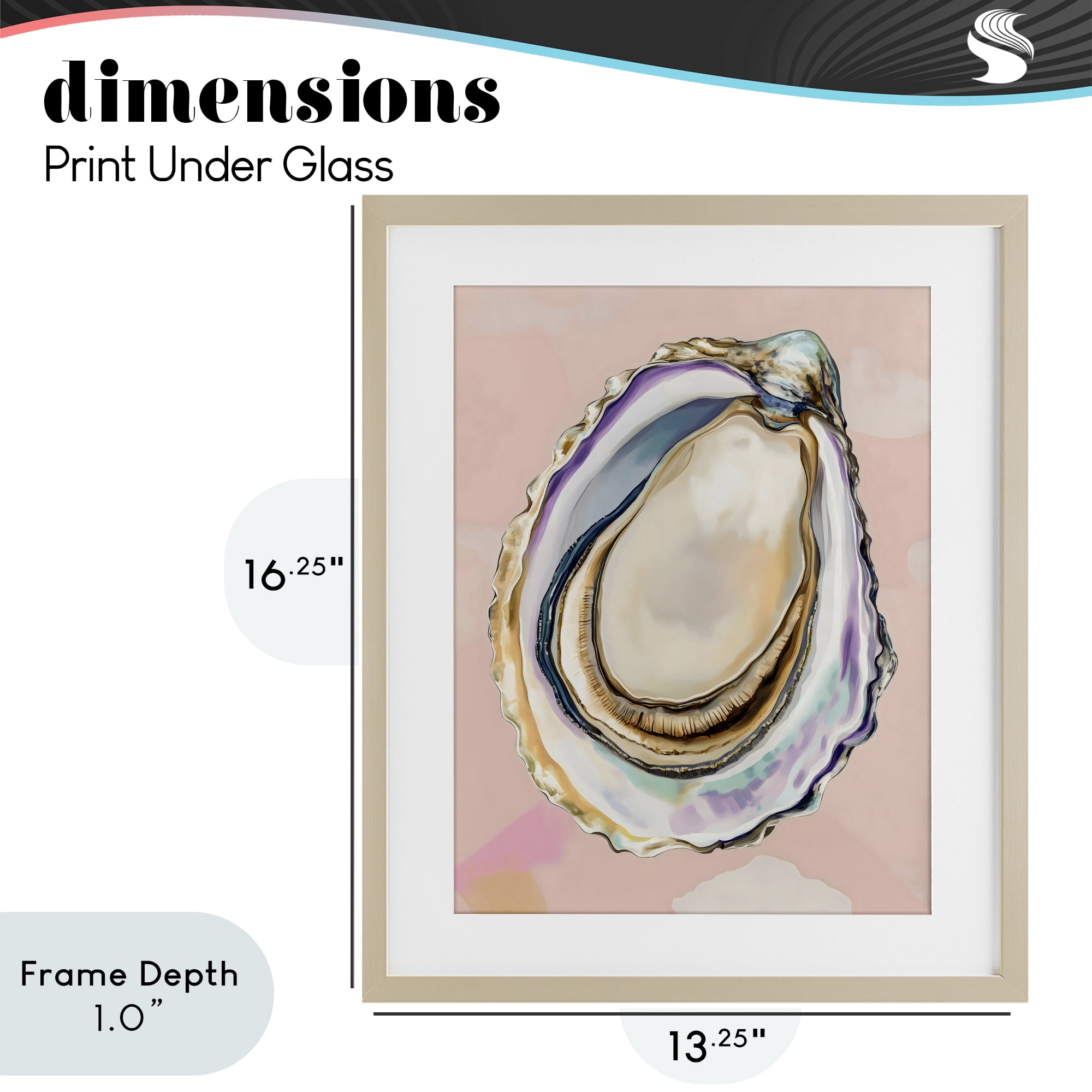 Stupell Industries Pink Oyster Shell Elegance Birch Framed Print Under Glass, design by The Prints Vibe