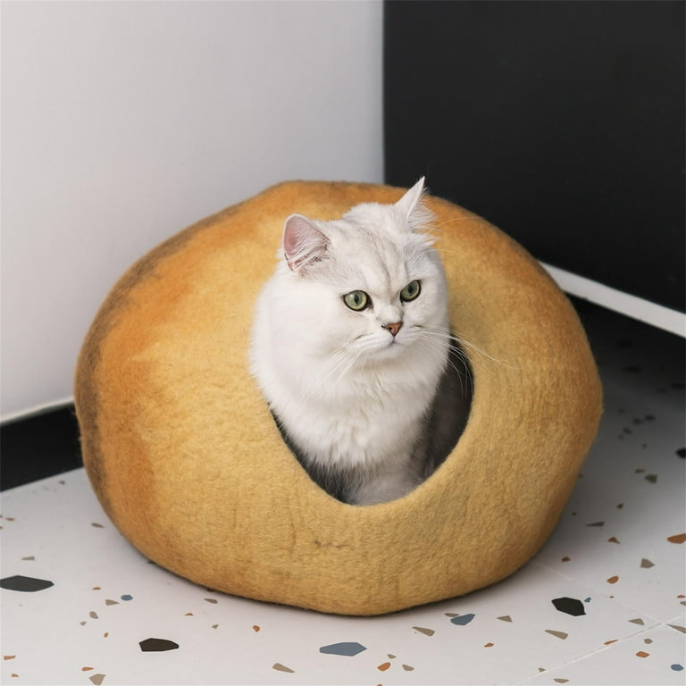 Cat toys hotsell and beds
