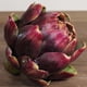 thumbnail image 2 of Ornamento De Cabeza De De Flor De Simución Para Decoración Del Hogar De Oficina Del Jardín Purple_L Zulema Ornamento artificial de la piña, 2 of 8