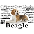 thumbnail image 2 of CafePress - Beagle Traits Throw Blanket - Soft Fleece Throw Blanket, 50"x60" for All Ages, 2 of 2