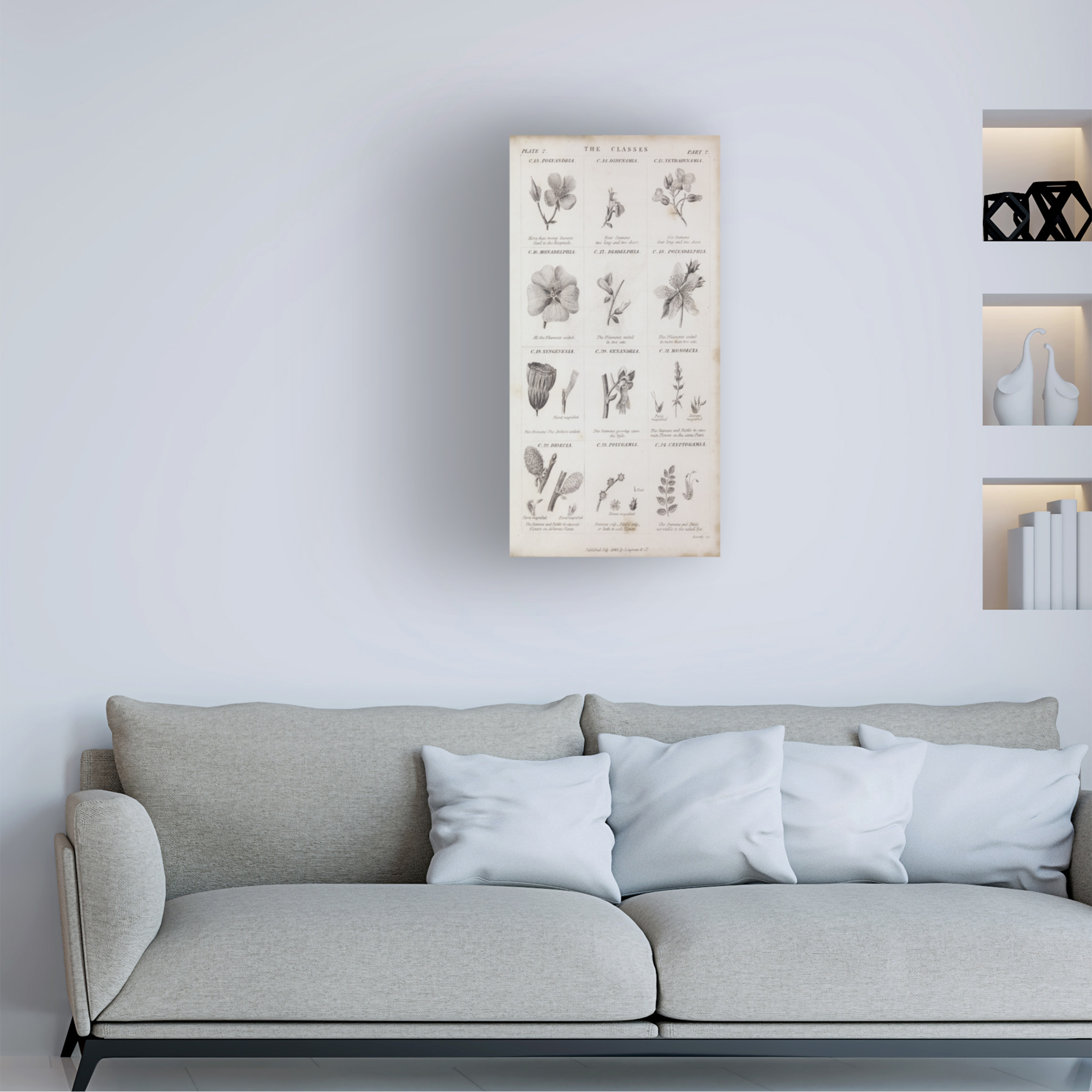 Trademark Fine Art 'Conversations on Botany X' Canvas Art by Wild Apple Portfolio